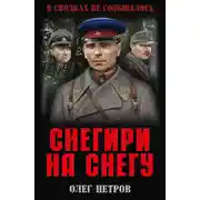 Постер книги Снегири на снегу (сборник)