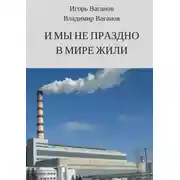 Постер книги И мы не праздно в мире жили