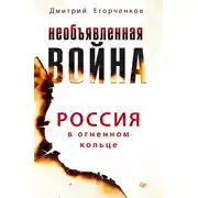 Постер книги Необъявленная война. Россия в огненном кольце