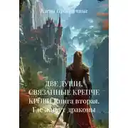 Постер книги ДВЕ ДУШИ, СВЯЗАННЫЕ КРЕПЧЕ КРОВИ Книга вторая. Где живут драконы