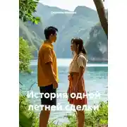 Постер книги История одной летней сделки