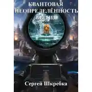 Постер книги КВАНТОВАЯ НЕОПРЕДЕЛЁННОСТЬ БЫТИЯ