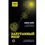 Постер книги Запутанный мозг. Путеводитель по нейропсихологии