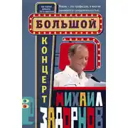 Постер книги Большой концерт