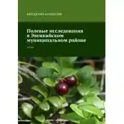 Постер книги Полевые исследования в Эвенкийском муниципальном районе. Отчет