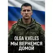 Постер книги Мы вернемся домой