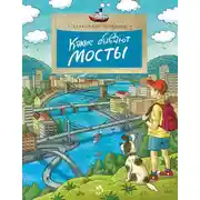 Постер книги Какие бывают мосты