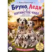 Постер книги Бруно, Леди и пятнистое чудо