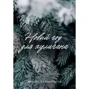 Постер книги Новый год для хулигана. Бонус