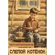 Постер книги Слепой котёнок
