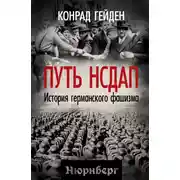 Постер книги Путь НСДАП. История германского фашизма