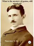 Юрий Низовцев - What is the mystery of genius, still unsolved?