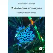 Постер книги Новогодние каникулы