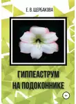 Елена Щербакова - Гиппеаструм на подоконнике
