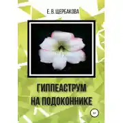 Постер книги Гиппеаструм на подоконнике