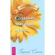 Постер книги Создание молодой души