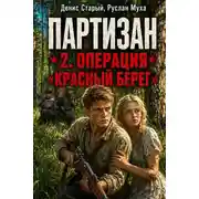 Постер книги Партизан. Операция «Красный Берег»