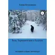 Постер книги Воля, Чернышевский и Калачик