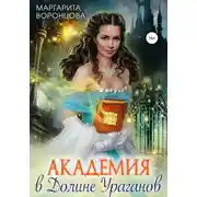 Постер книги Академия в Долине Ураганов