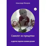 Постер книги Самолет из прищепки