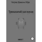 Постер книги Тринадцатый сын короля