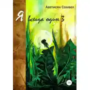 Постер книги Я всегда один 3