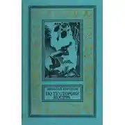 Постер книги По ту сторону костра