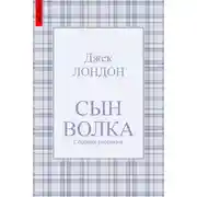 Постер книги Сын Волка