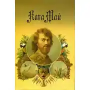 Постер книги На Рио-де-Ла-Плате