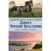 Постер книги Дымка. Черный Красавчик (сборник)