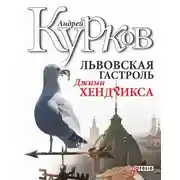 Постер книги Львовская гастроль Джимми Хендрикса
