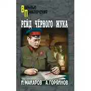 Постер книги Рейд «Черного Жука» (сборник)