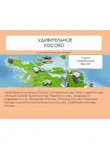Наталья Ильина - Удивительное Косово