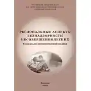 Постер книги Региональные аспекты безнадзорности несовершеннолетних. Социально-экономический подход