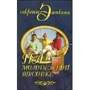 Постер книги На молодежной тусовке