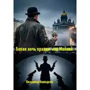 Постер книги Белая ночь правды над Мойкой