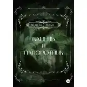 Постер книги Камень и папоротник