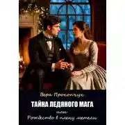 Постер книги Тайна ледяного мага, или Рождество в плену метели