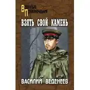 Постер книги Взять свой камень