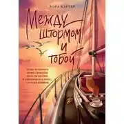 Постер книги Между штормом и тобой