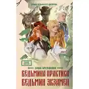 Постер книги Ведьмина практика. Ведьмин экзамен