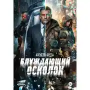 Постер книги Блуждающий осколок