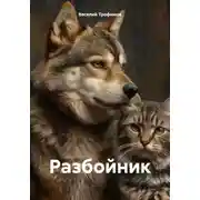 Постер книги Разбойник