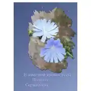 Постер книги В алмазной крошке росы…