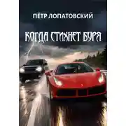 Постер книги Когда стихнет буря