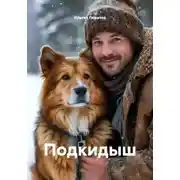 Постер книги Подкидыш