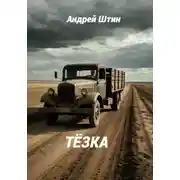 Постер книги Тёзка