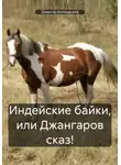 Джангар Колхидский - Индейские байки, или Джангаров сказ!