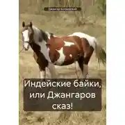 Постер книги Индейские байки, или Джангаров сказ!