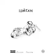 Постер книги Цыган